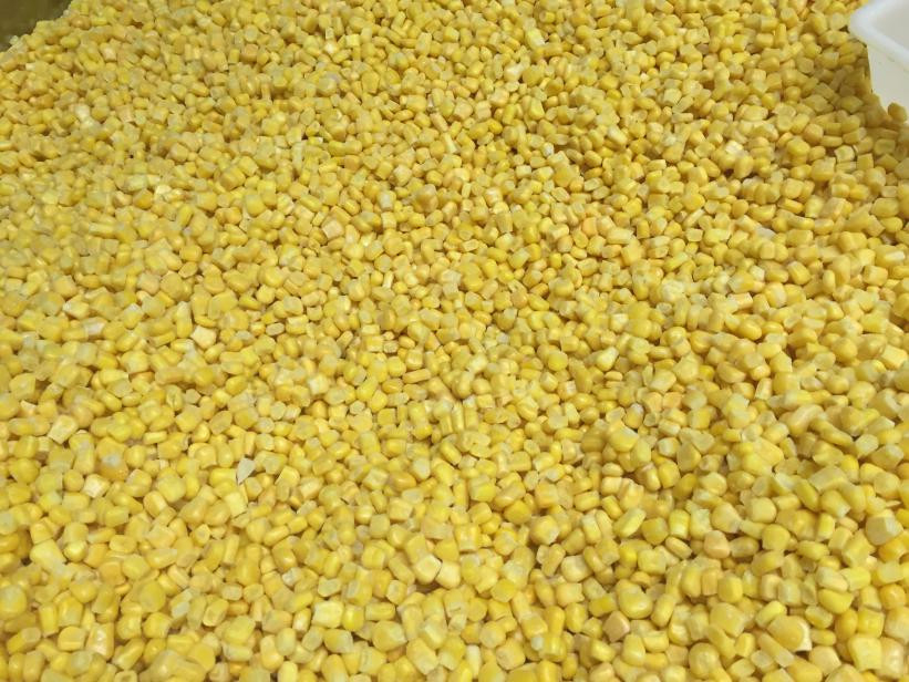 Sweet-Corn