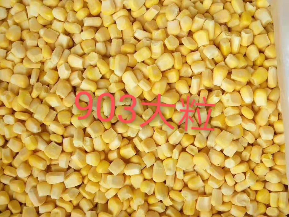 Sweet-Corn